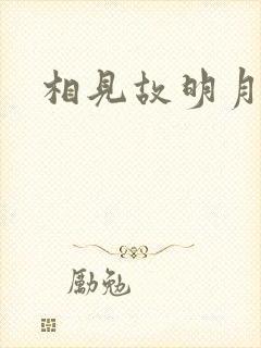 相见故明月