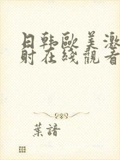 日韩欧美激情四射在线观看