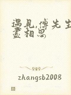 遇见,傅先生无尽相思