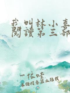 我叫林小喜全文阅读第三部