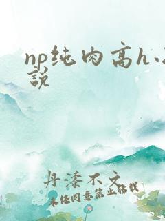 np纯肉高h小说