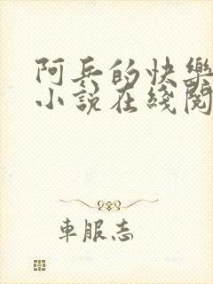 阿兵的快乐生活小说在线阅读