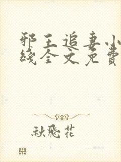 邪王追妻小说在线全文免费阅读