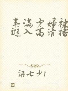 丰满少妇被猛烈进入高清播放在线观看