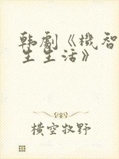 韩剧《机智的医生生活》