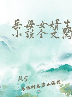 岳母女婿生孩子小说全文阅读香艳阁