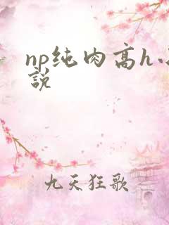 np纯肉高h小说