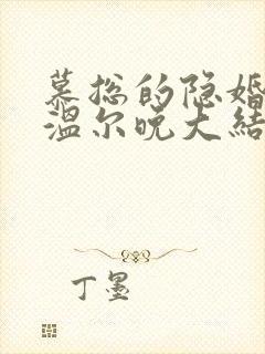 慕总的隐婚罪妻温尔晚大结局
