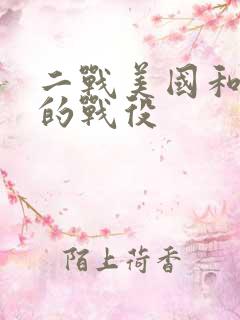 二战美国和德国的战役
