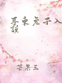 耳东兔子入局小说