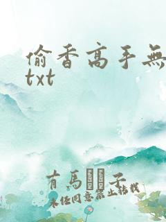 偷香高手无删减txt