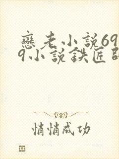 恋老小说6969小说铁匠师徒