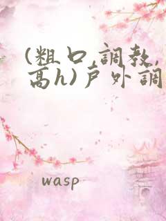 (粗口,调教,高h)户外调教