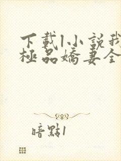 下载l小说我的极品娇妻全部