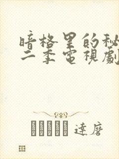 暗格里的秘密第二季电视剧免费观看