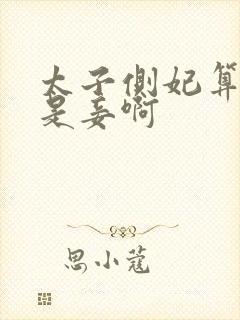 太子侧妃算妻还是妾啊