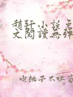 赵轩小说免费全文阅读无弹窗