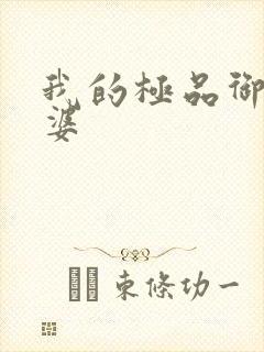 我的极品御姐老婆