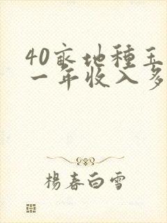 40亩地种玉米一年收入多少