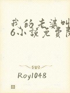 我的老婆叫武艳6小说免费阅读