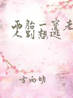 两胎一宝老婆大人别想逃