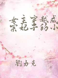 女主穿越成宋仁宗妃子的小说