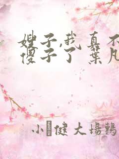 嫂子,我真不是傻子了 叶凡
