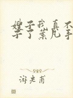 嫂子我真不是傻子了叶凡手机版