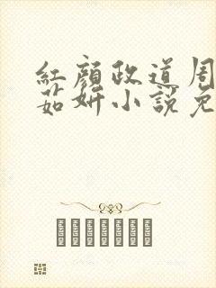红颜政道周平丁茹妍小说免费阅读