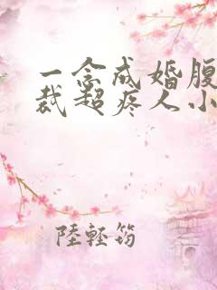 一念成婚腹黑总裁超疼人小说