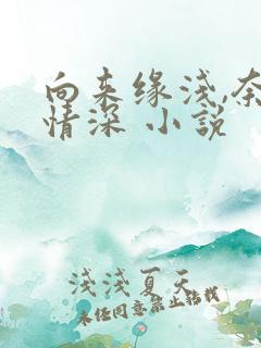向来缘浅,奈何情深 小说