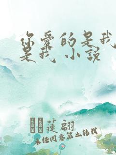 你爱的是我却不是我 小说