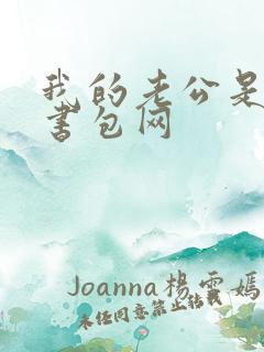 我的老公是冥王书包网