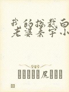 我的总裁白富美老婆秦宇小说全文