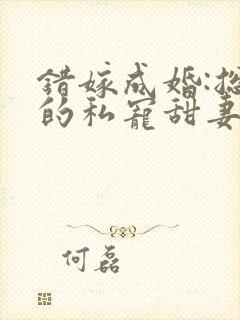 错嫁成婚:总裁的私宠甜妻