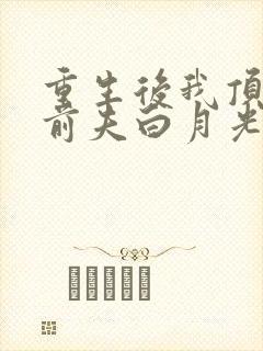 重生后我顶替了前夫白月光大概剧情