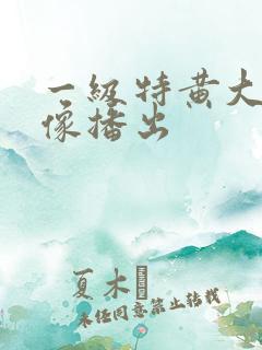 一级特黄大片录像播出