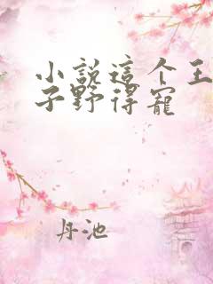 小说这个王妃路子野得宠