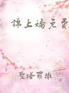 锦上娇免费阅读