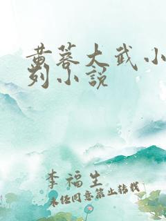 黄蓉大武小武系列小说