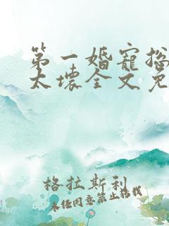 第一婚宠总裁别太坏全文免费阅读