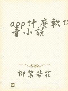 app什么软件看小说