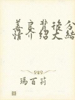 善良背后分集剧情介绍大结局