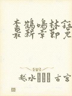 李鹤鸣林钰小说最新章节免费阅读