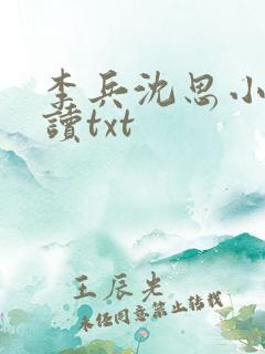 李兵沈思小说阅读txt
