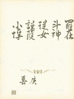 小说从斗罗开始俘获女神在线阅读