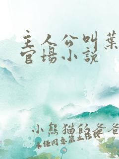 主人公叫叶阳的官场小说