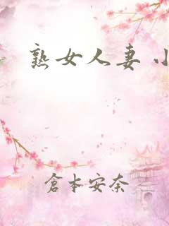 熟女人妻 小说