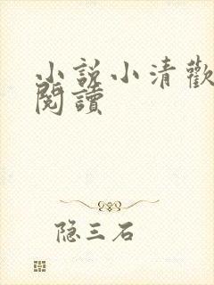 小说小清欢免费阅读