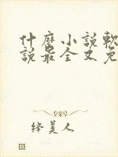 什么小说软件小说最全又免费没广告